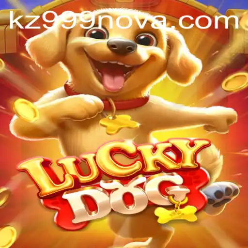 Discovering the Thrills of LuckyDog and the Fascinating World of kz 999