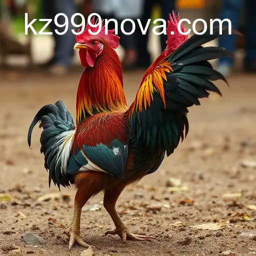 Rinha de Galos: A Comprehensive Look into the Controversial Practice